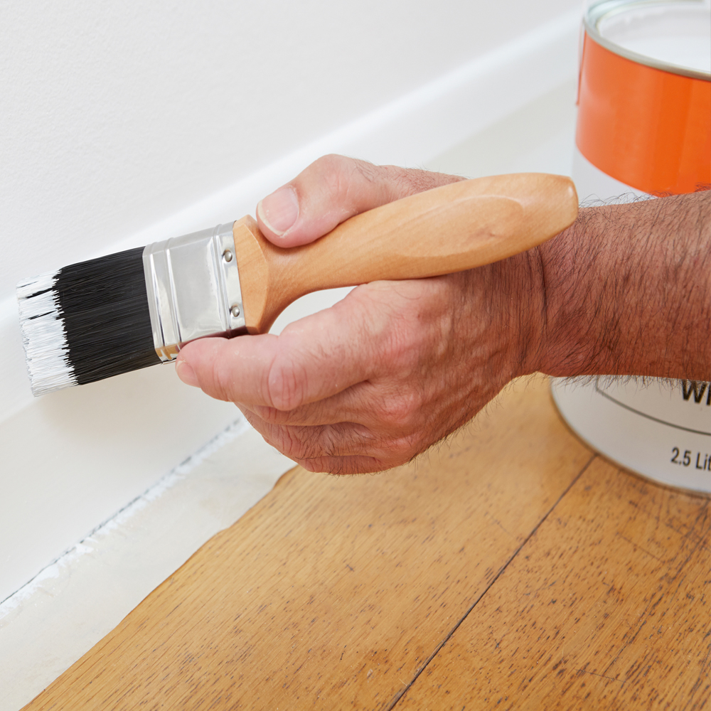 paint-skirting